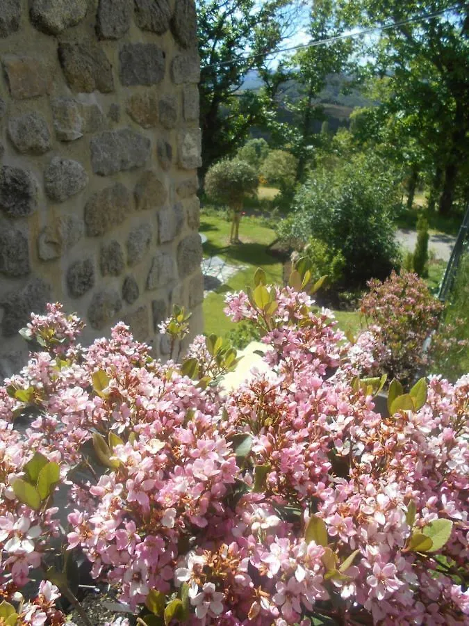 Maison D'Hotes Les Palmiers Gluiras Guest house